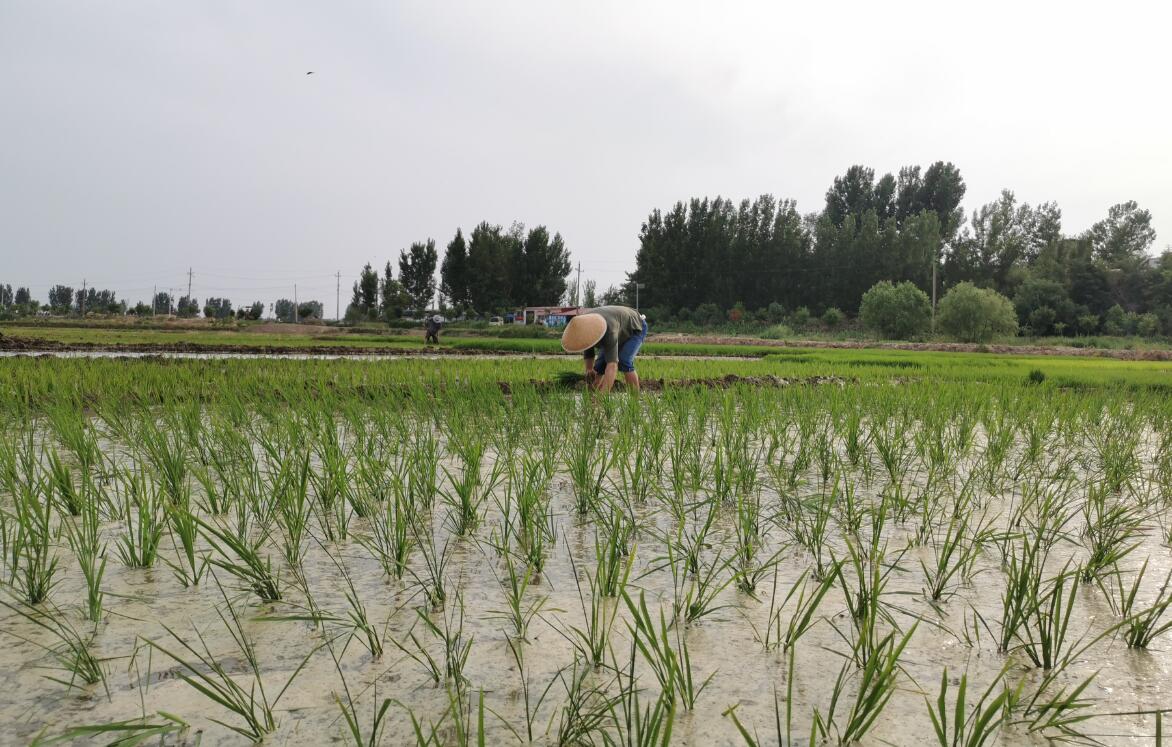 “懷抱初心 不忘鄉(xiāng)村” 炎黃文化&河大志愿者公益扶貧行動