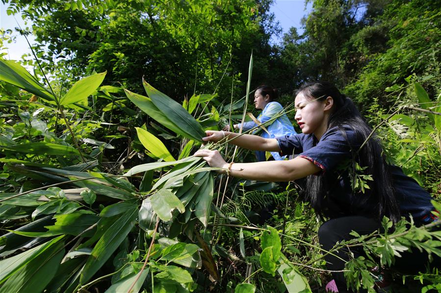 #���������3�����猢�����h��