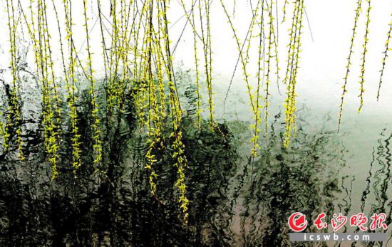 ��������κ��������µľG�z�{���ڴ��L(f��ng)���hʎ��Ԋ(sh��)��M�@���L(zh��ng)ɳ���(b��o)ȫý�wӛ���ܰ�ƽ �z