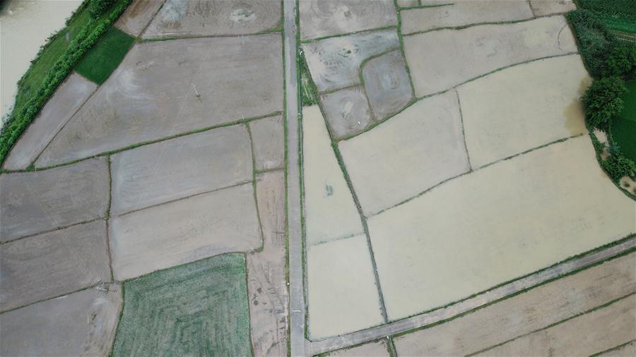 ����Ѵ���飩��2������ɣֲ�܏�����Ӱ� �r(n��ng)�������e�ܞ�(z��i)