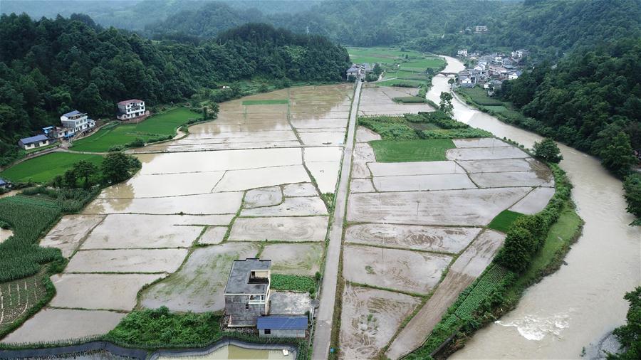 ����Ѵ���飩��4������ɣֲ�܏�����Ӱ� �r(n��ng)�������e�ܞ�(z��i)