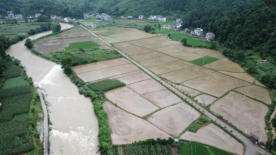 ����Ѵ���飩��5������ɣֲ�܏�����Ӱ� �r(n��ng)�������e�ܞ�(z��i)