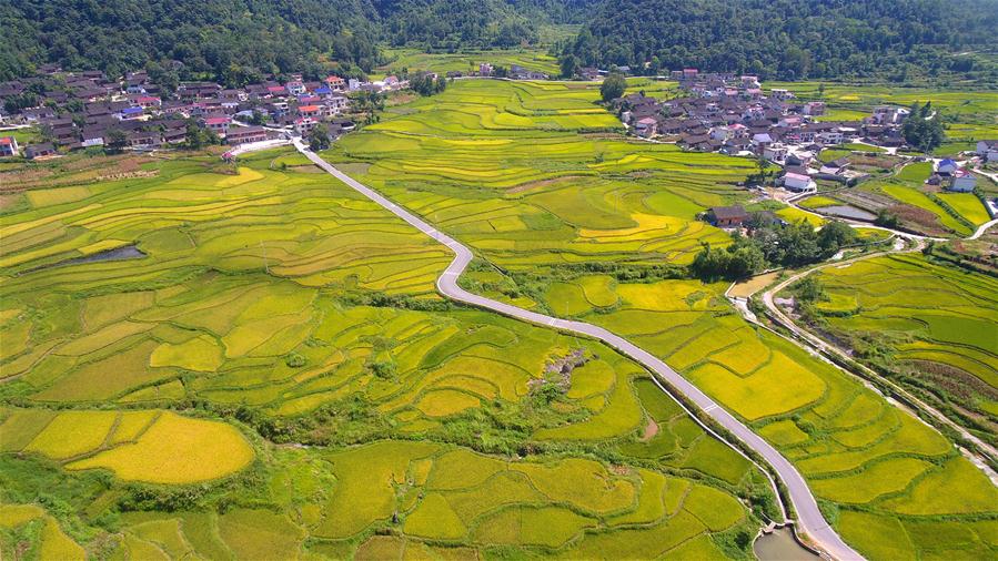 #�����(hu��)����5���S������