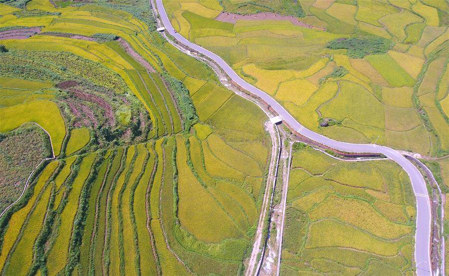 #�����(hu��)����4���S������