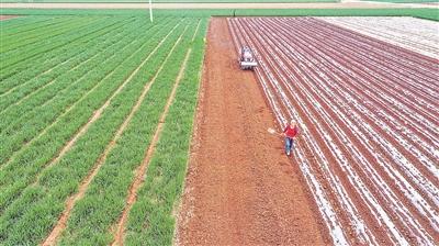 �c���M����һ�