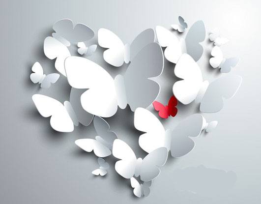 �DƬ��Դ���W(w��ng)�j