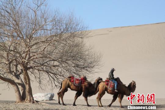 �ػ��Qɳɽ����Ȫ���^(q��)ָ�y�R(sh��)�eُƱ��3���(n��i)�ɶ�����[