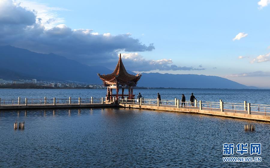 �����B(t��i)����3�����ϴ��팢Ͷ�Y264�|Ԫ���o����