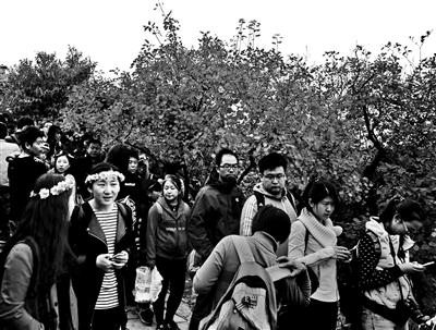 �c���M����һ�