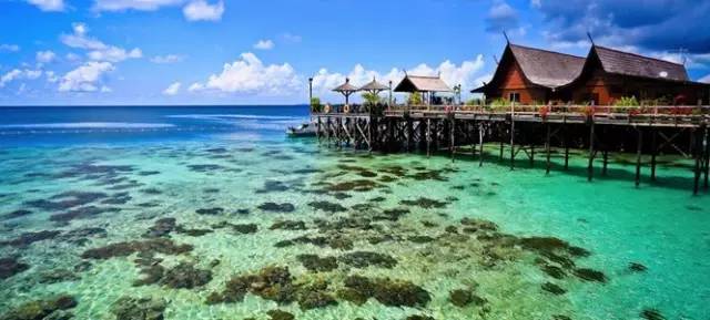 ���θ����� 2016��ֵ���P(gu��n)ע���º��C