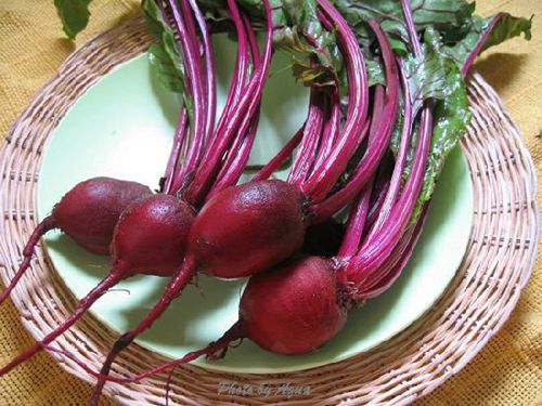 �X�׽������ˣ�����@15�N��Ȼʳ������a�X��