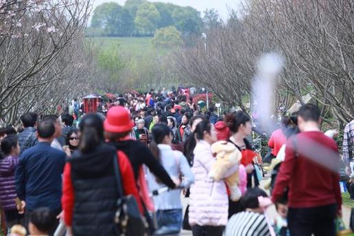 ���f�˴���̤���P�˜� ǧ�����԰��n���^(q��)}��