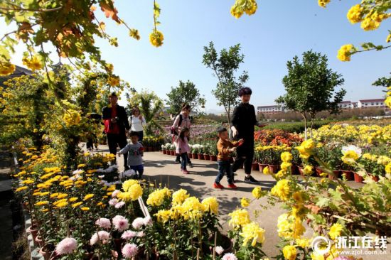 �㽭�ھ����� ����܎�������t �z