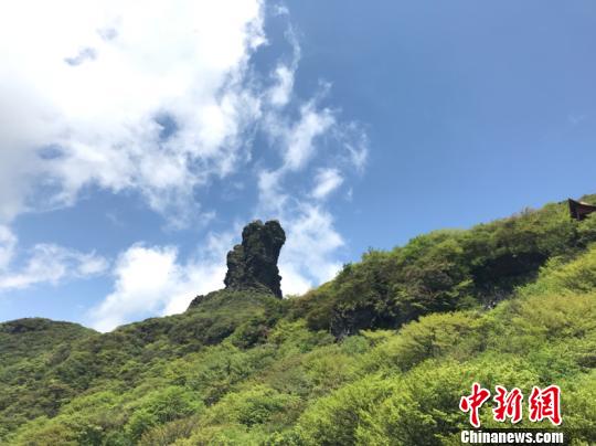 �Ї�(gu��)�L(zh��ng)���������оGɫ����ጷš����B(t��i)�t����