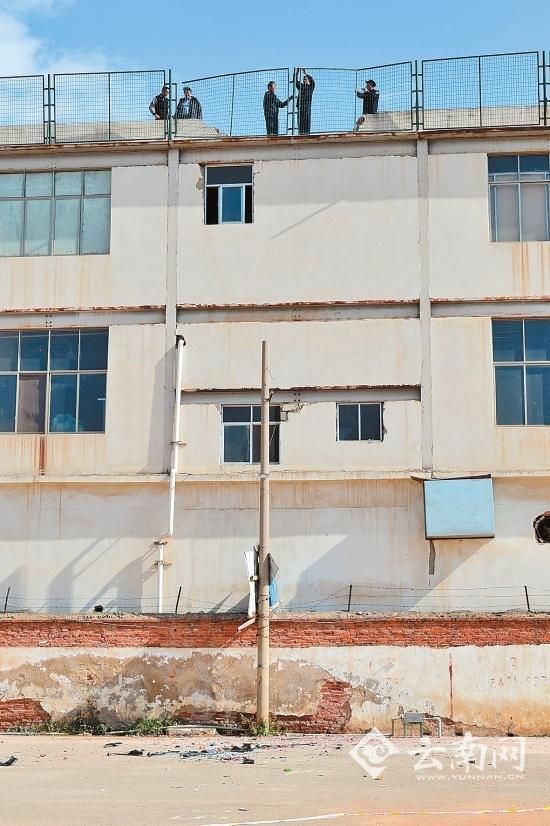 斯巴魯 從樓頂墜落地面 記者 蘇穎 攝