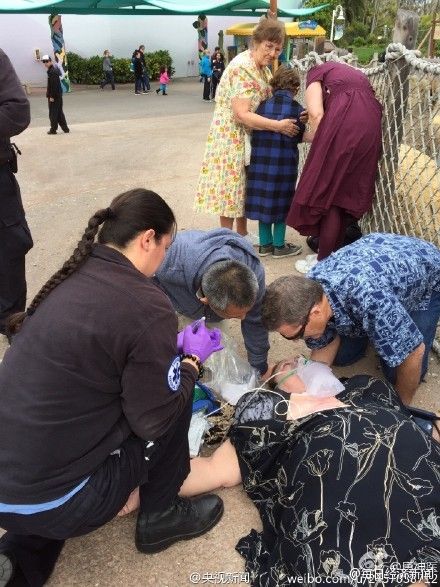 �Ї��ο��������ȵ����ο� ���@����Ϊ�(d��)������