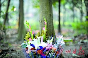 �V���������T����Ĺ���ǷǷ����Y ֻ��Ѫ���o�w