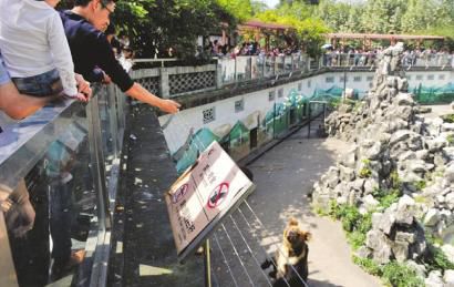 2�����ɶ�����@���οͲ��ֹ��(bi��o)�Z�����������ιʳ��