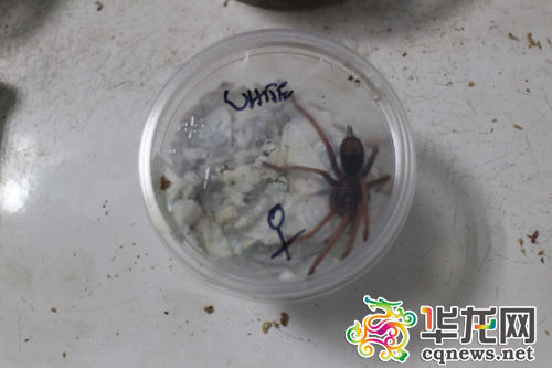 ���ث@��֩����