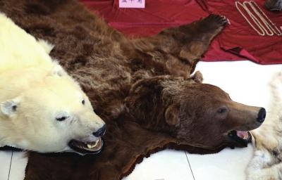 �����ƫ@���؜�u������ �永�r(ji��)ֵ2439�fԪ(�D)