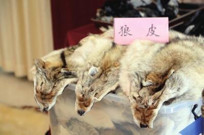 �����ƫ@���؜�u������ �永�r(ji��)ֵ2439�fԪ(�D)