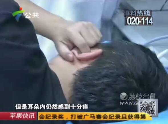 �@�������Ӷ���(n��i)�L(zh��ng)�M��ɫ���x(ch��ng)��˺ҧ����ʹ��������