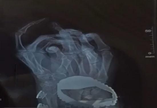 С����ָ�������С��ٲݿݡ� ����ǰŮ�ш��