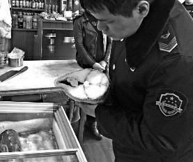 ���������ѳ��~��ͣ��ƨ߀�����͡�