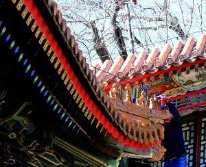 ����������l(f��)�F(xi��n)���U�͈@���Ƶ��������ݼ�߅��̎һ���T�P���ˡ�ȱʧ���˵ؾo����ɽ�������ο����ֿ��|�����ɘ�(g��u)�����I��ӛ������̽�L�������й����ˆT�ڬF(xi��n)���ޏ�(f��)���U�͈@����̎�Q��ȱʧ������(g��u)�����(f��)�Ƙ�(g��u)�����������L(f��ng)�����g�������L(f��ng)���������ο͓�ʰ��ԭ����Ȼ���������췿��