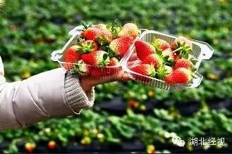 ��ݮ��ժ�@��؈ā������͵͵��ˎ �����u�o�ο�(�D)