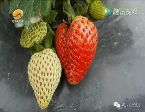 ��ݮ��ժ�@��؈ā������͵͵��ˎ �����u�o�ο�(�D)2