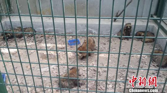 ������������{(l��n)�������¼��M�����ҵ�������380ֻ