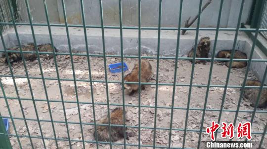 ������������{(l��n)�������¼��M�����ҵ�������380ֻ