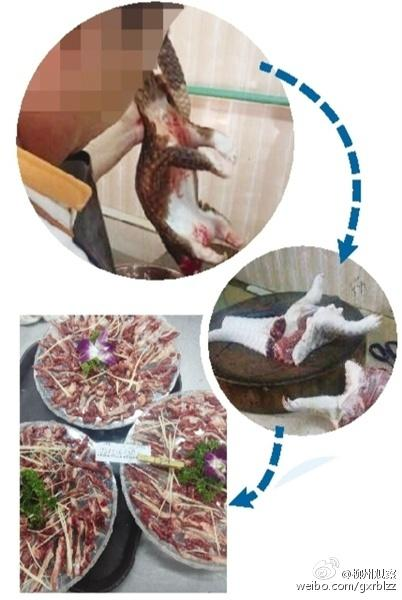 �F(xi��n)���ך���ɽ��