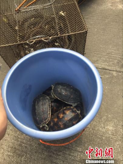 4��20�գ��������֘I(y��)�ֽM��ɭ�ֹ����Ȉ�(zh��)���ˆT��ͻ�u���r(n��ng)�w�ɼҲ��^����@Ұ����(d��ng)��һ�������ܞt�� �z