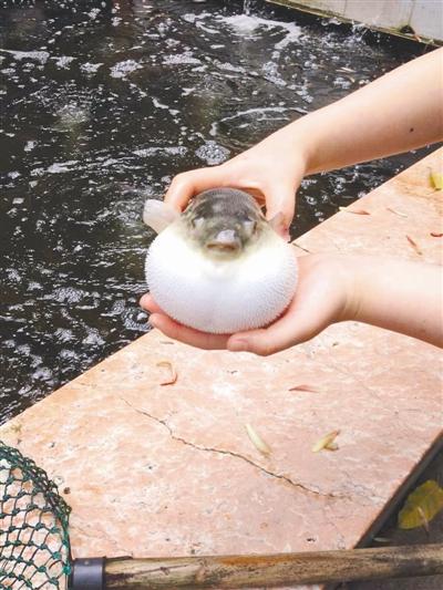 ��(gu��)��(n��i)��������?q��)����_ ���е���ʳ�ͳ��M(j��n)ICU