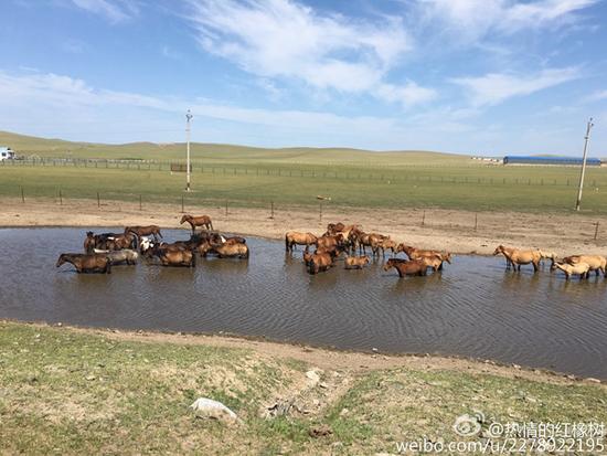 ��(n��i)�ɹŖ|���Ⱦֵؿ��_(d��)40�� ������ߜؾ���