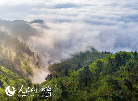 ���·�(gu��)������(sh��)�`������ƪ�����ǣ����Gɫ���桱����l(f��)չ��(d��ng)��