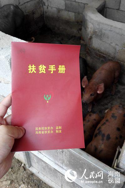 �����_(k��i)չ��ؚʷ�����Ҏ(gu��)ģ�ķ�ؚ�����{(di��o)��