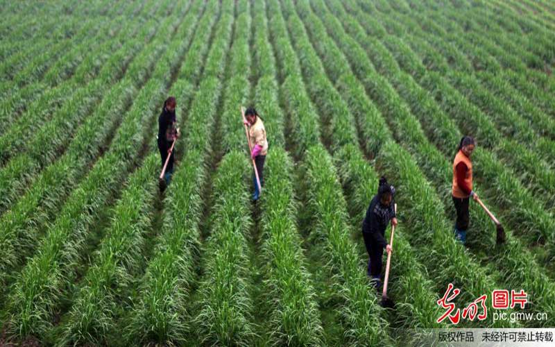 ���³��B(t��i) ����Փ�����O(sh��)�a(ch��n)�I(y��)��Ⱥ�����r(n��ng)�I(y��)��(chu��ng)�¸ߵ�