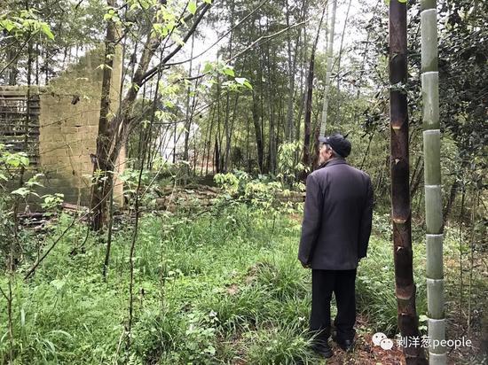 վ������ǰ�����ܵ�Ę�a���c�l(f��)����