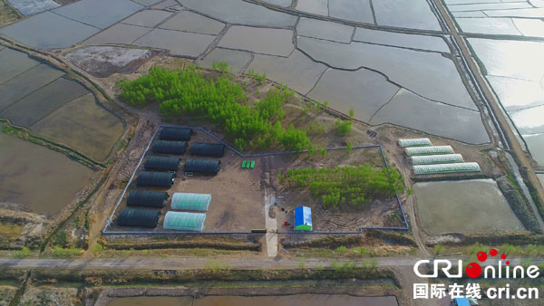 �DƬĬ�J(r��n)��(bi��o)�}