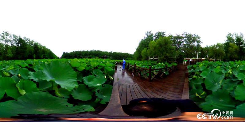 ���@һ��������ҕ�W(w��ng) ӛ�ߺδ��z��