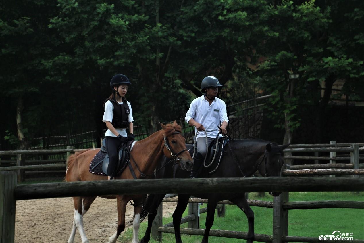 Ī��ɽ�(zh��n)�߶˾�Ʒ���޵ĺ��ą^(q��)������ҕ�W(w��ng) ӛ�ߺδ��z��