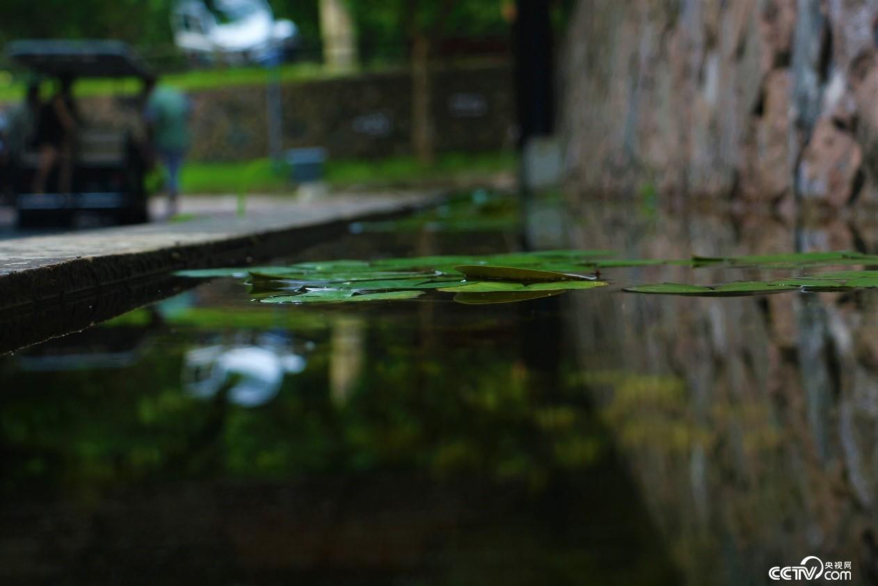 Ī��ɽС�(zh��n)����һ��ˮ��������ҕ�W(w��ng) ӛ�ߺδ��z��