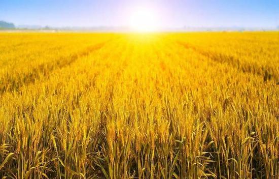 ���մ��(sh��)�ء����r(n��ng)������