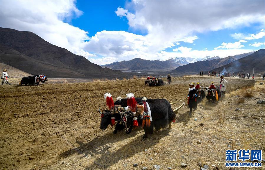 ���������1�����أ���������_���´���һ��