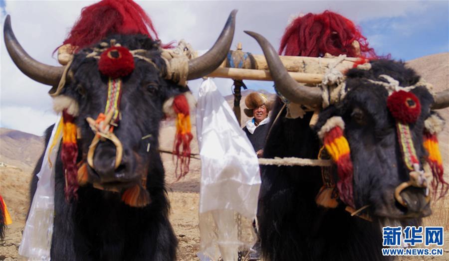 ���������4�����أ���������_���´���һ��