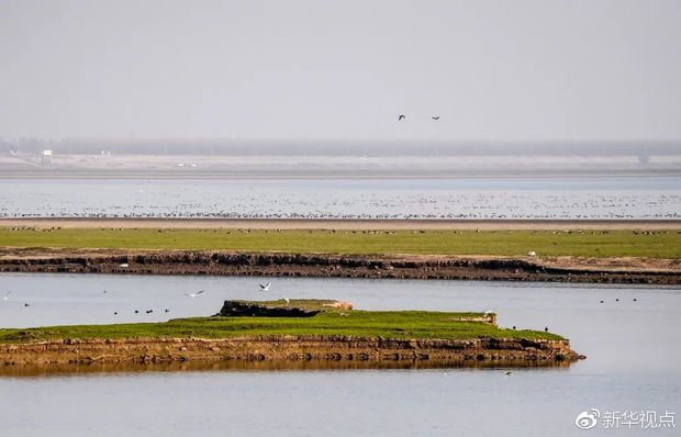 ��(x��)��ƽ���L�����