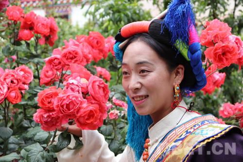 �D�鴩���{�����Ĺ���׿����ķ���zӰ������